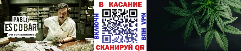 Где найти наркотики Гатчина Бошки Шишки  Мефедрон  КОКАИН  ГАШ 